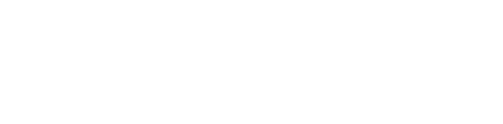 RAIC Official Logo in White